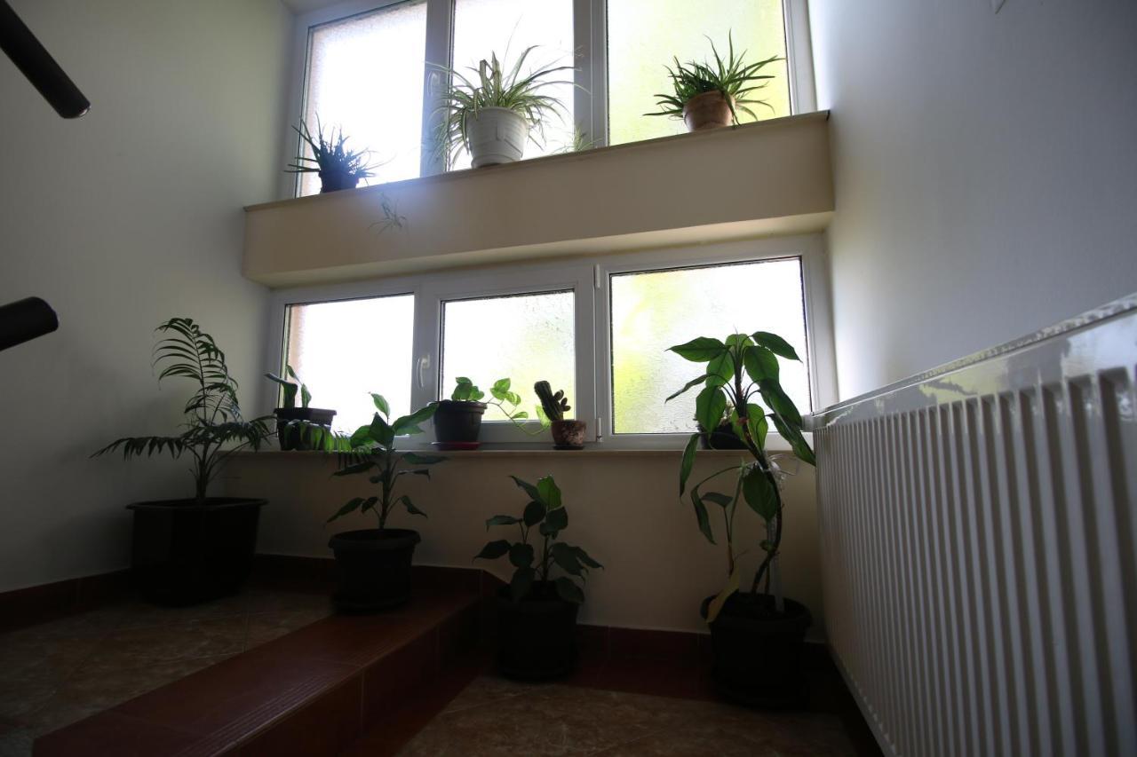 אלכסינץ Hostel Teresianum מראה חיצוני תמונה